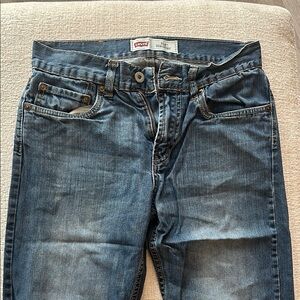 Levi's Blue Denim Jeans